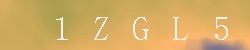 Kontrolní kód
