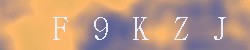 Kontrolní kód