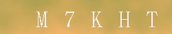 Kontrolní kód