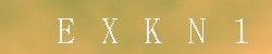 Kontrolní kód